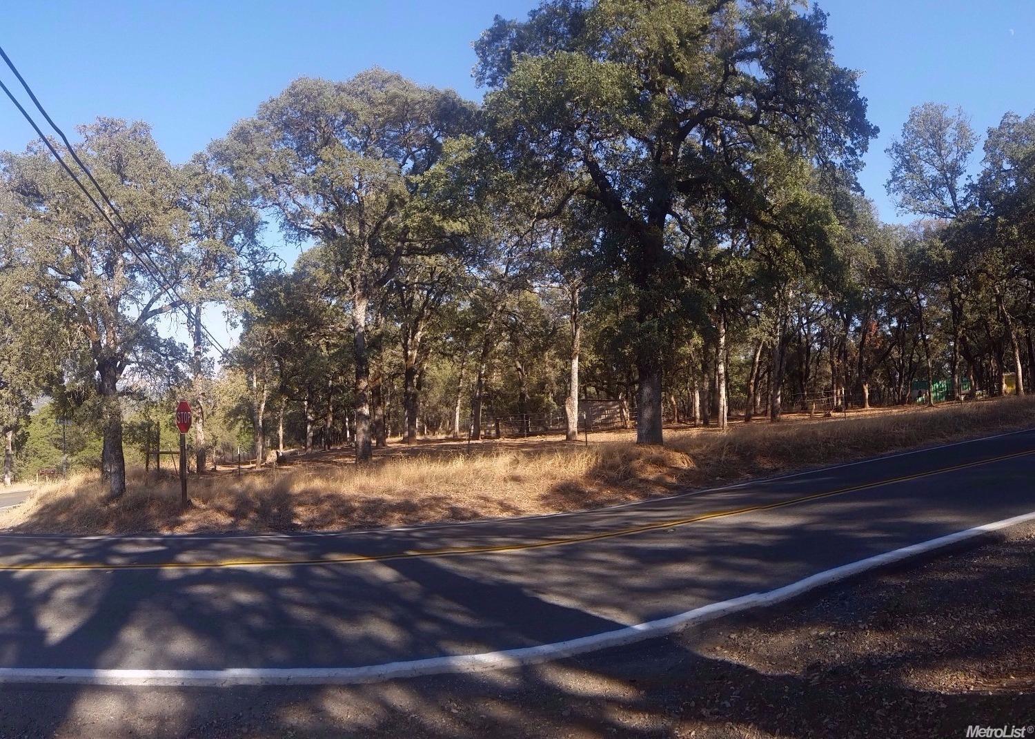15212 Wolf Rd, Grass Valley, CA 95949 photo 4