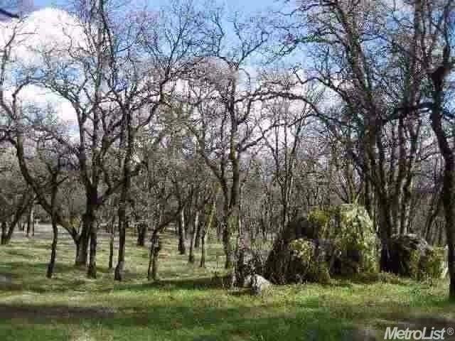 15212 Wolf Rd, Grass Valley, CA 95949 photo 1