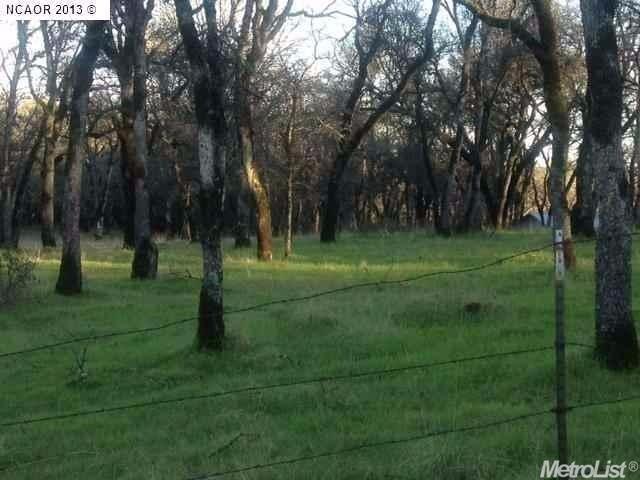 15212 Wolf Rd, Grass Valley, CA 95949 photo 2