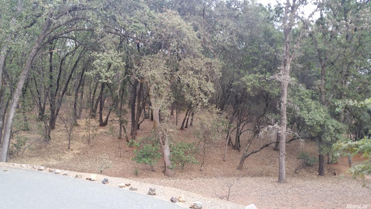 15480 Applegate Rd, Auburn, CA 95603 photo 1