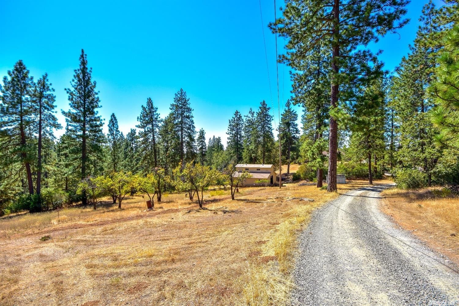 2404 Kingsgate Rd, Placerville, CA 95667 photo 2