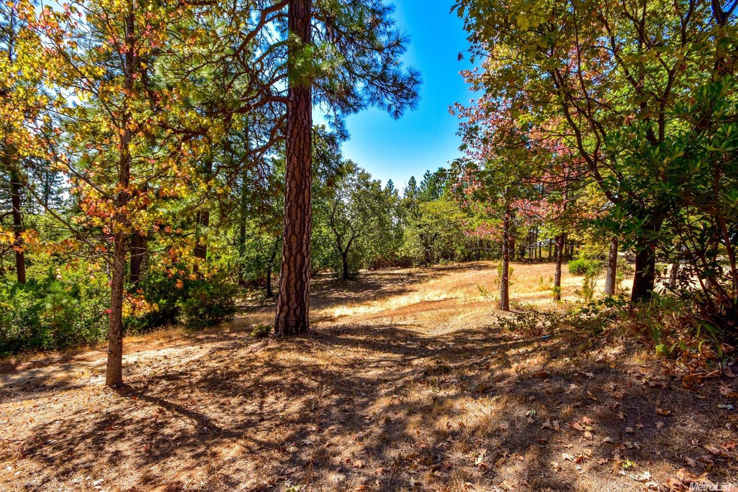 2404 Kingsgate Rd, Placerville, CA 95667 photo 19