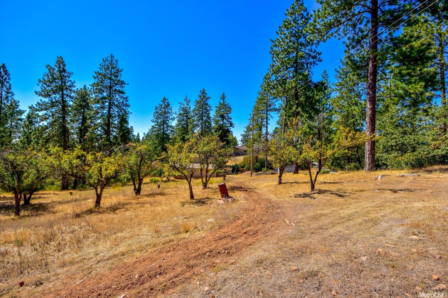 2404 Kingsgate Rd, Placerville, CA 95667 photo 13