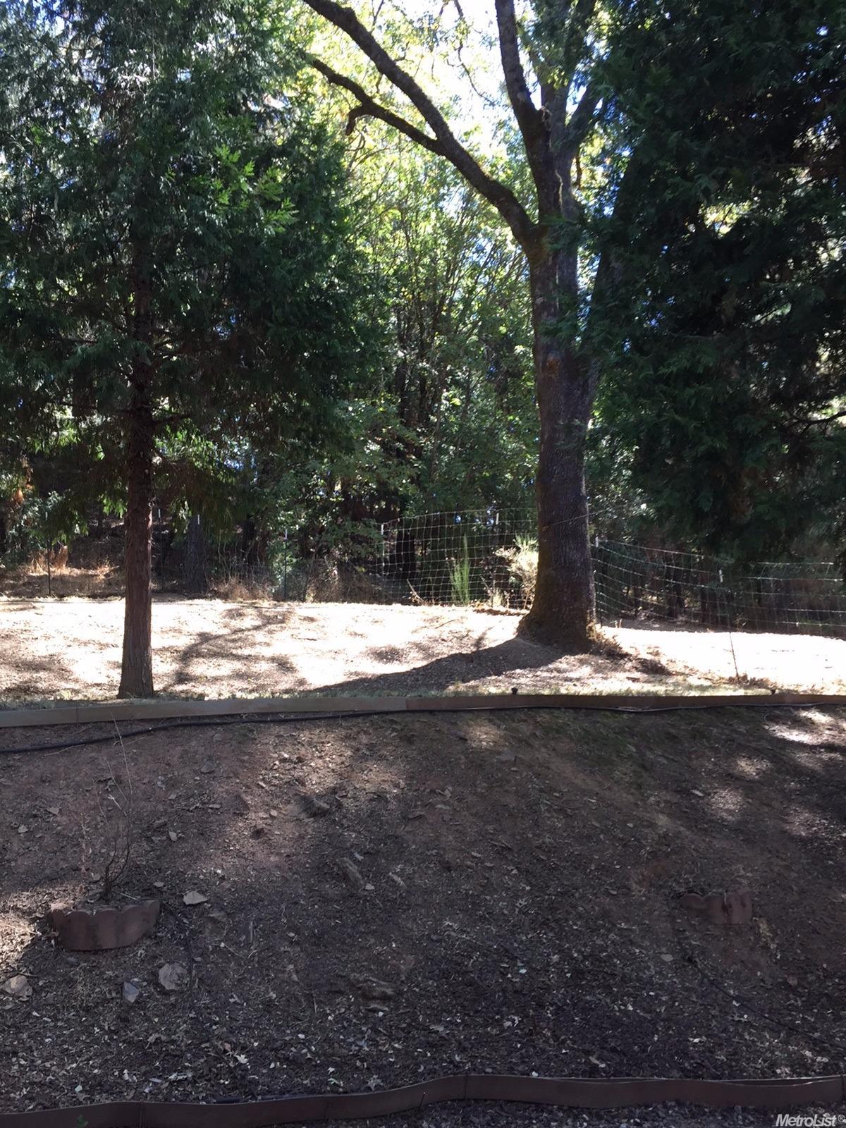 3133 Cedar Ravine Rd, Placerville, CA 95667 photo 25