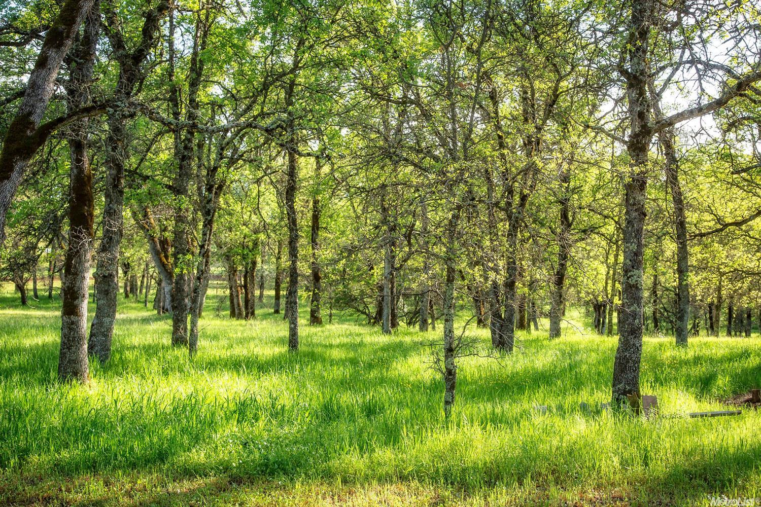 17423 Perimeter, Grass Valley, CA 95949 photo 3