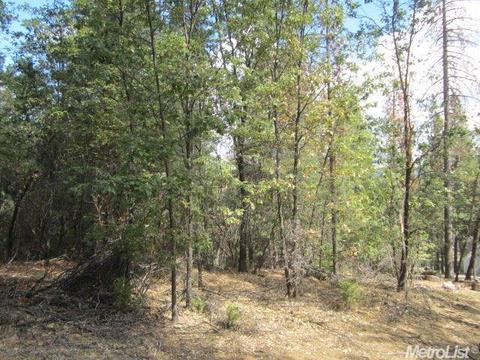 6334 Wildflower Ct, Placerville, CA 95667 photo 1