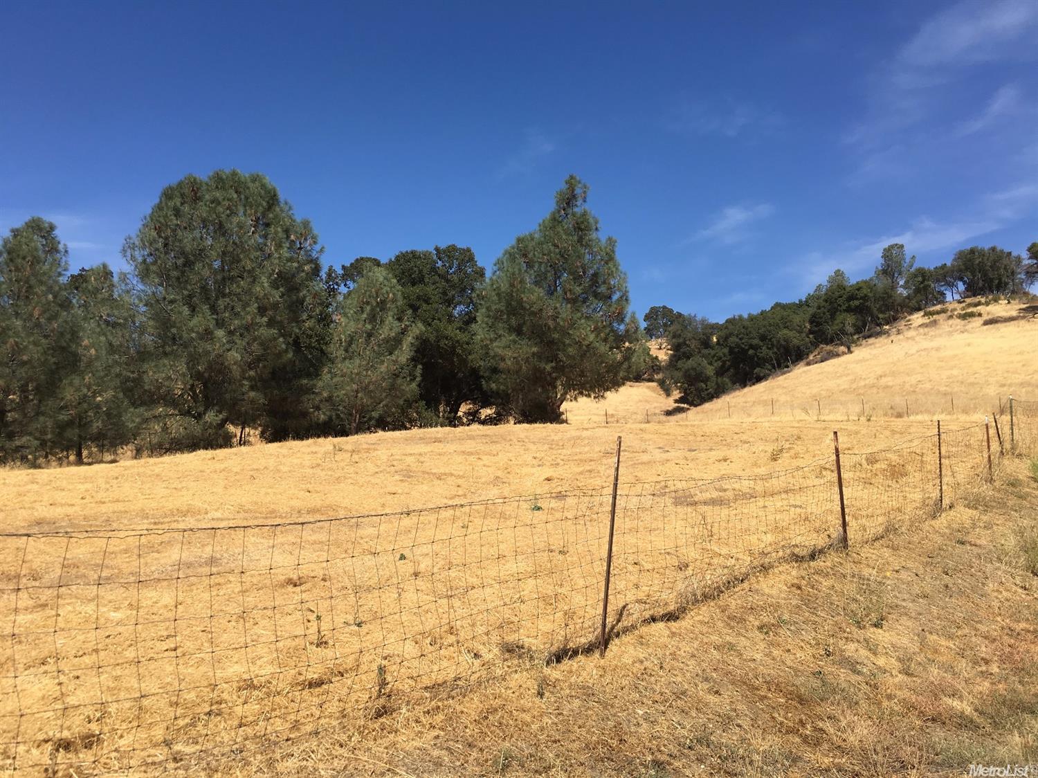 372 Gold Strike Rd, San Andreas, CA 95249 photo 4