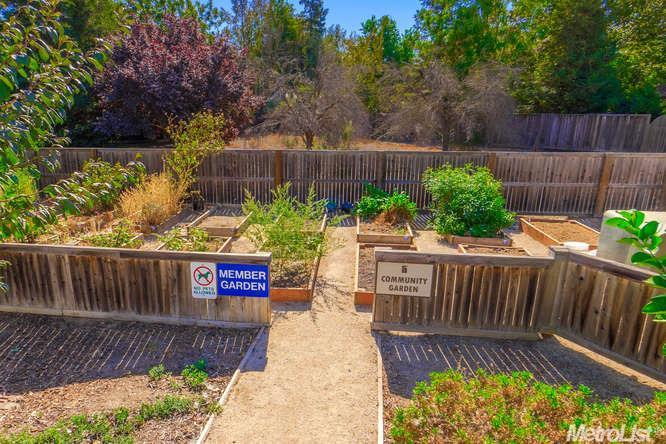 1818 Moore Blvd #152, Davis, CA 95618 photo 20