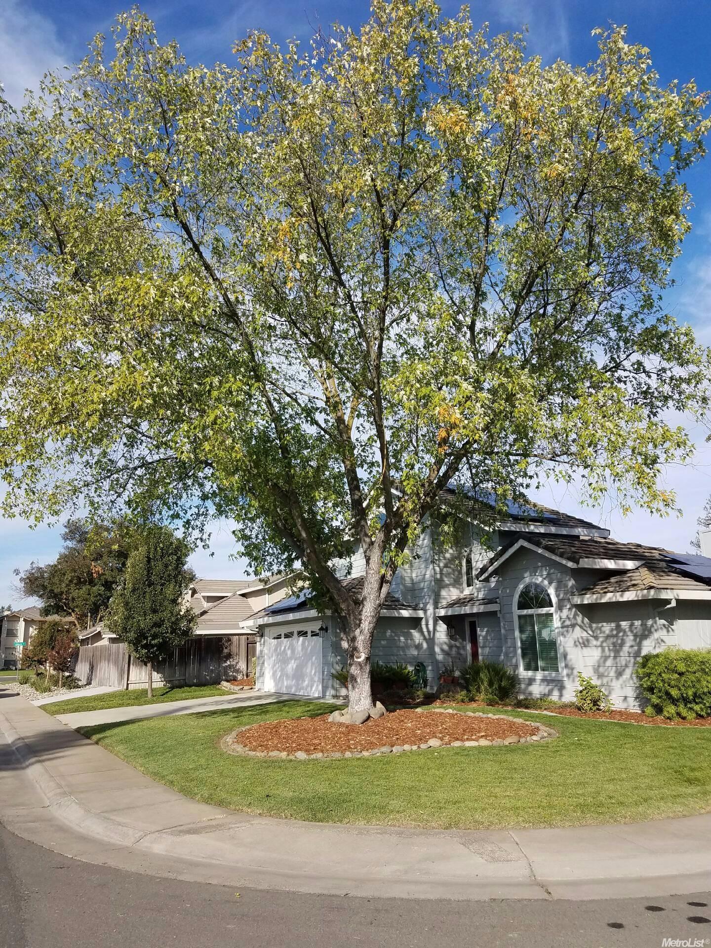 175 Pheasant Dr, Galt, CA 95632 photo 23