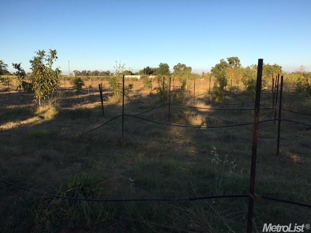 10260 E Collier Rd, Acampo, CA 95220 photo 3