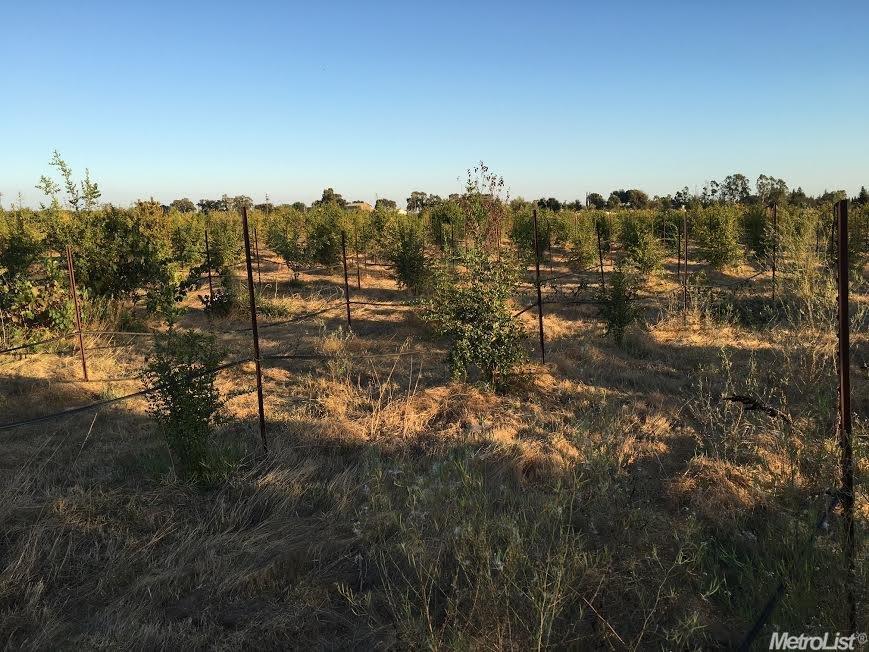 10260 E Collier Rd, Acampo, CA 95220 photo 2