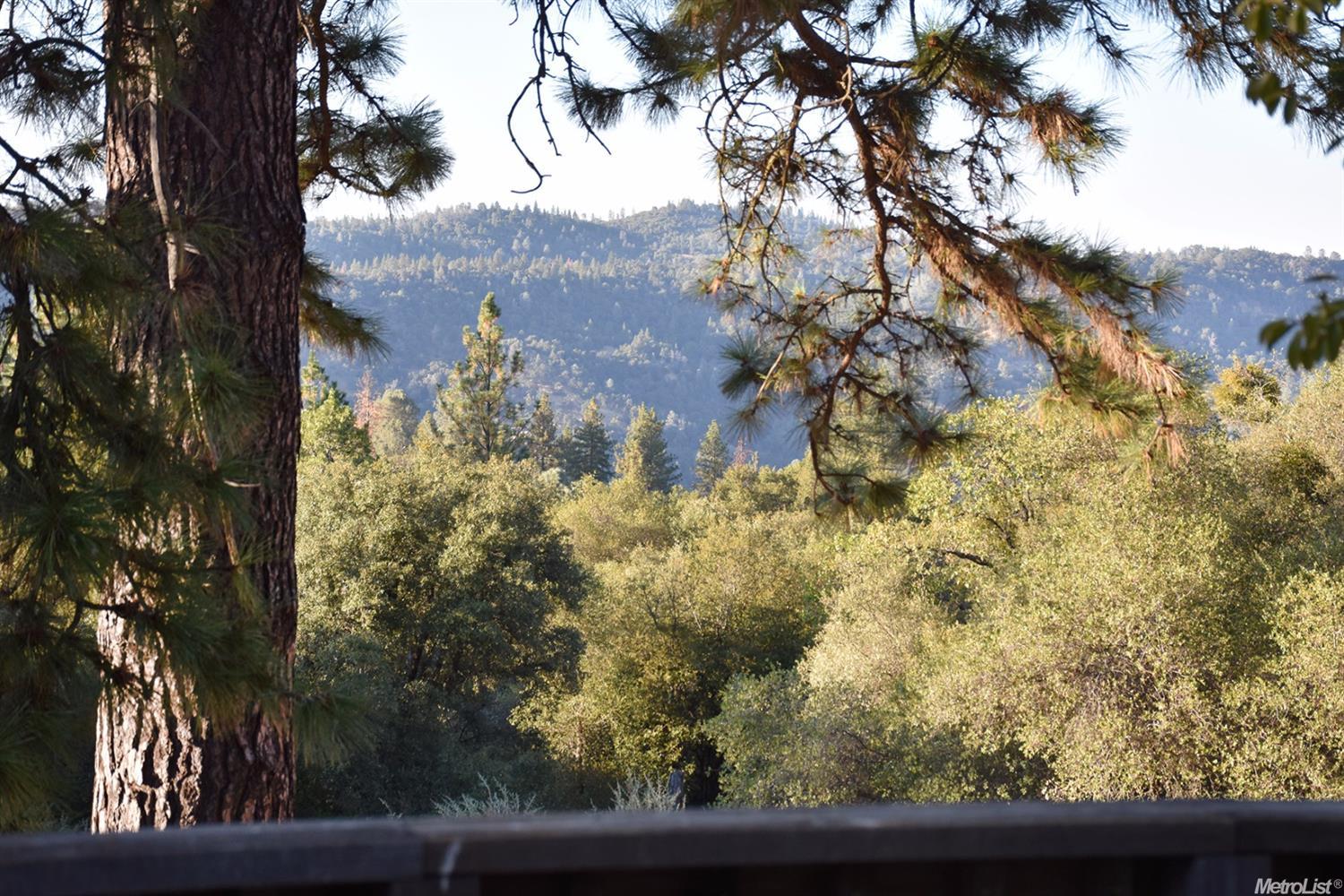 3191 Sand Ridge Rd, Placerville, CA 95667 photo 18