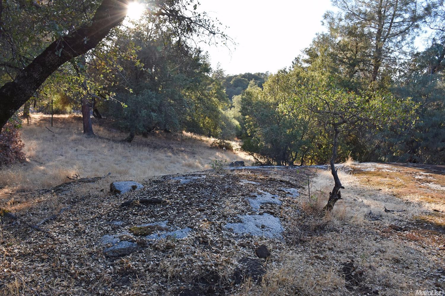 3191 Sand Ridge Rd, Placerville, CA 95667 photo 22
