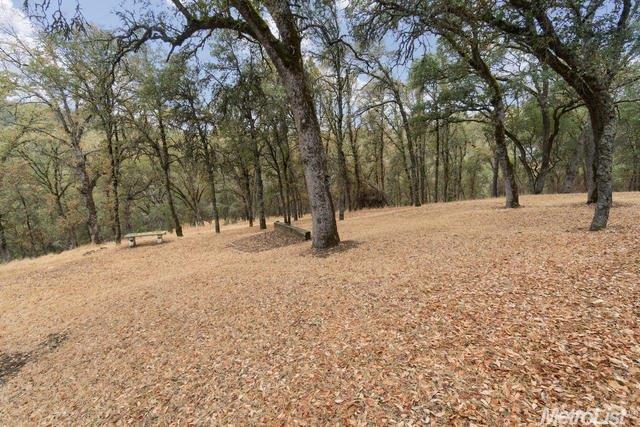3520 Dreamers Path, Placerville, CA 95667 photo 20