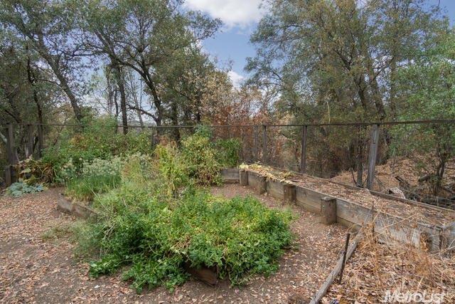 3520 Dreamers Path, Placerville, CA 95667 photo 24