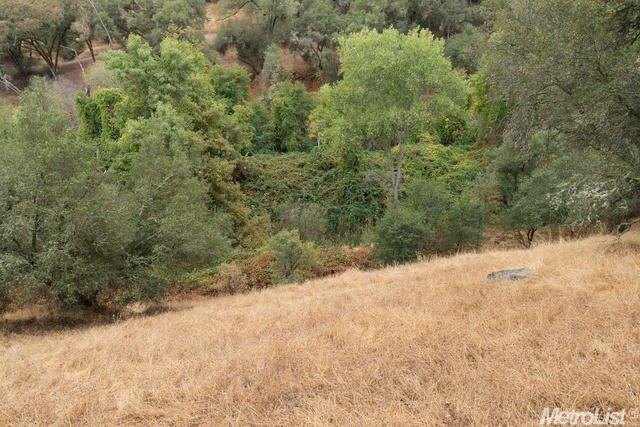 3520 Dreamers Path, Placerville, CA 95667 photo 21