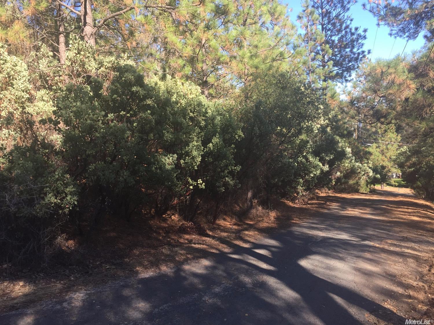 190 Hilton Dr, Applegate, CA 95703 photo 3