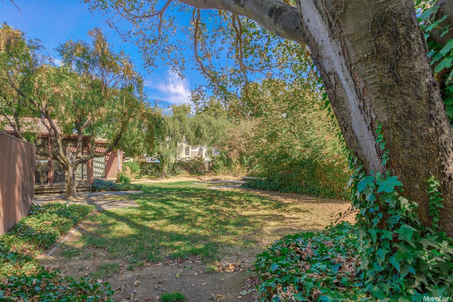 1224 Drummond S, Davis, CA 95618 photo 7