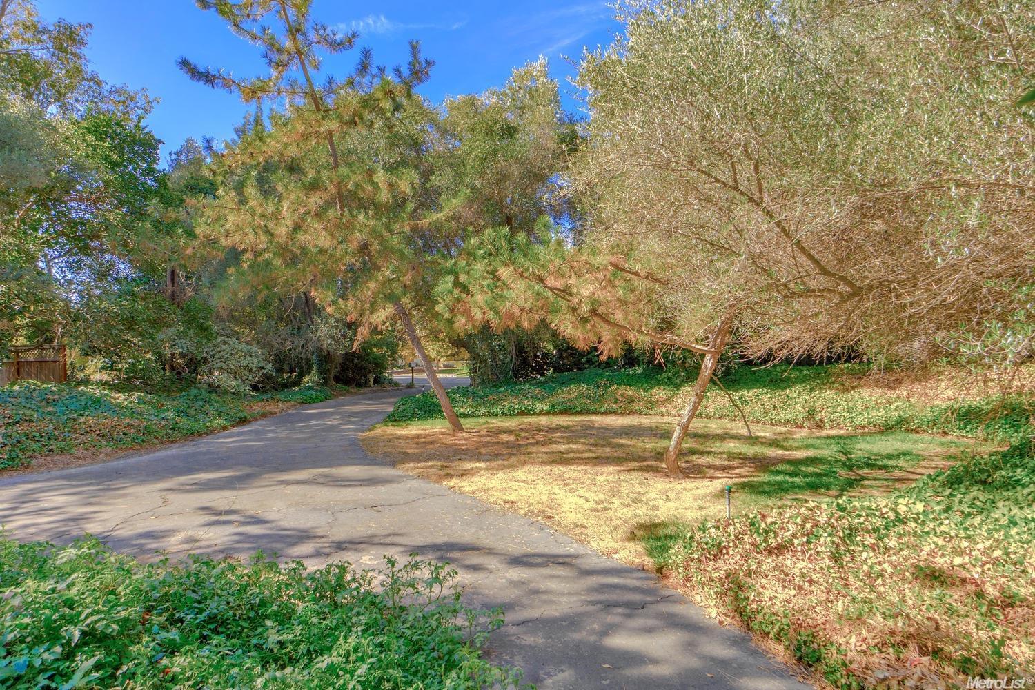 1224 Drummond S, Davis, CA 95618 photo 6