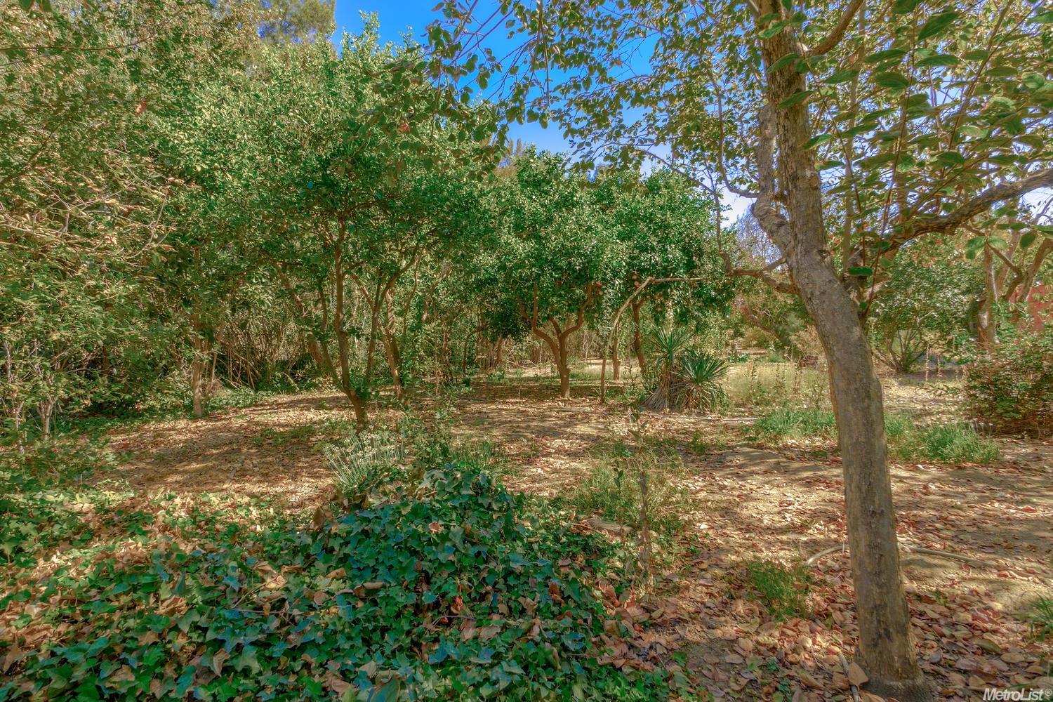1224 Drummond S, Davis, CA 95618 photo 9