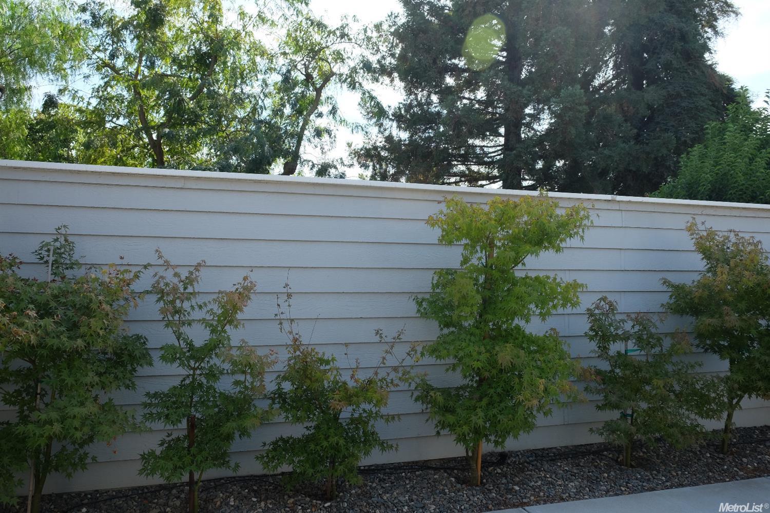 2264 Chelmsford, Modesto, CA 95356 photo 18