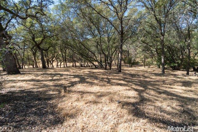 1806 Carl Rd, Rescue, CA 95672 photo 28