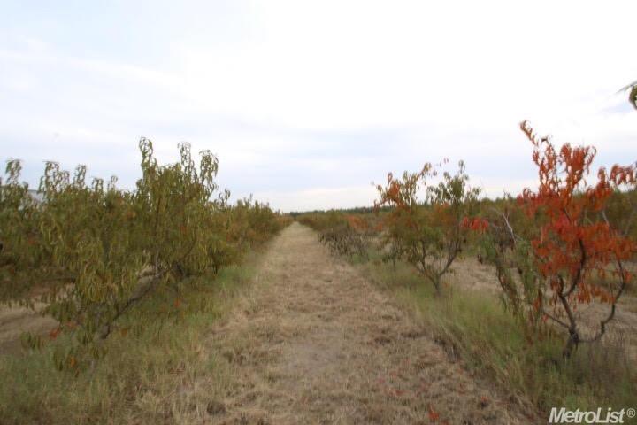 4618 E Barnhart Rd, Ceres, CA 95307 photo 7