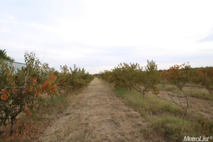 4618 E Barnhart Rd, Ceres, CA 95307 photo 8