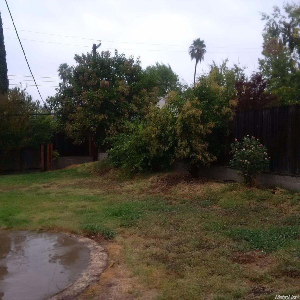 6229 Madison Ave, Carmichael, CA 95608 photo 3