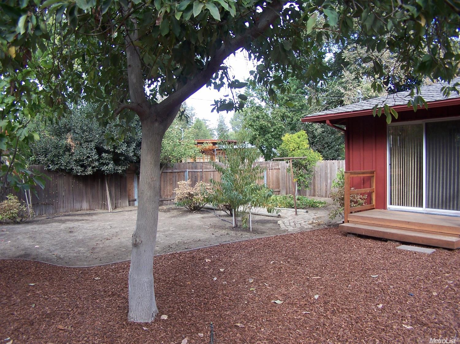 523 A St, Davis, CA 95616 photo 3