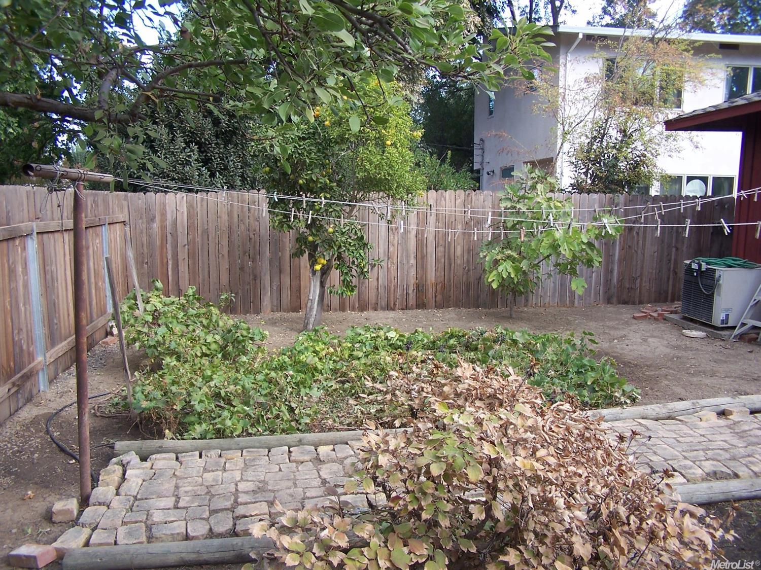 523 A St, Davis, CA 95616 photo 4