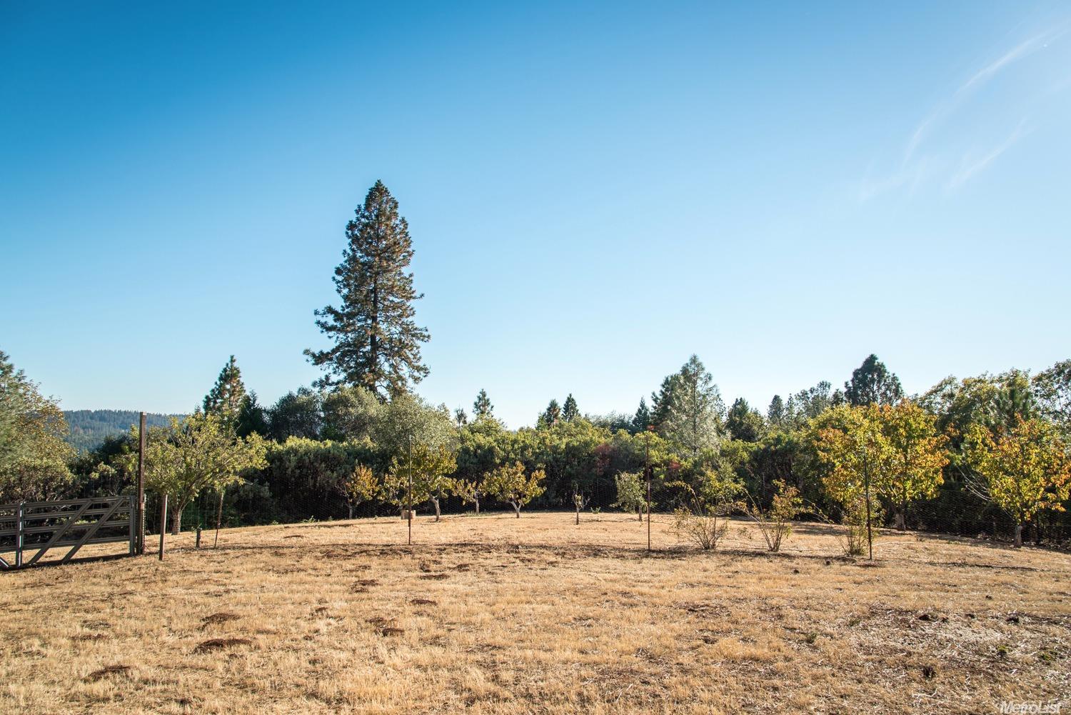 18417 River Rnch, Grass Valley, CA 95949 photo 23