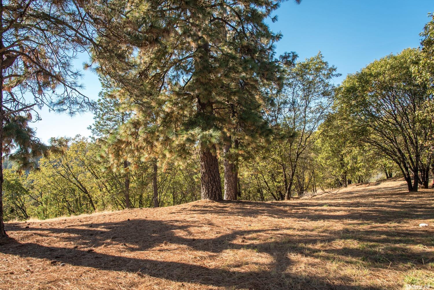 18417 River Rnch, Grass Valley, CA 95949 photo 22