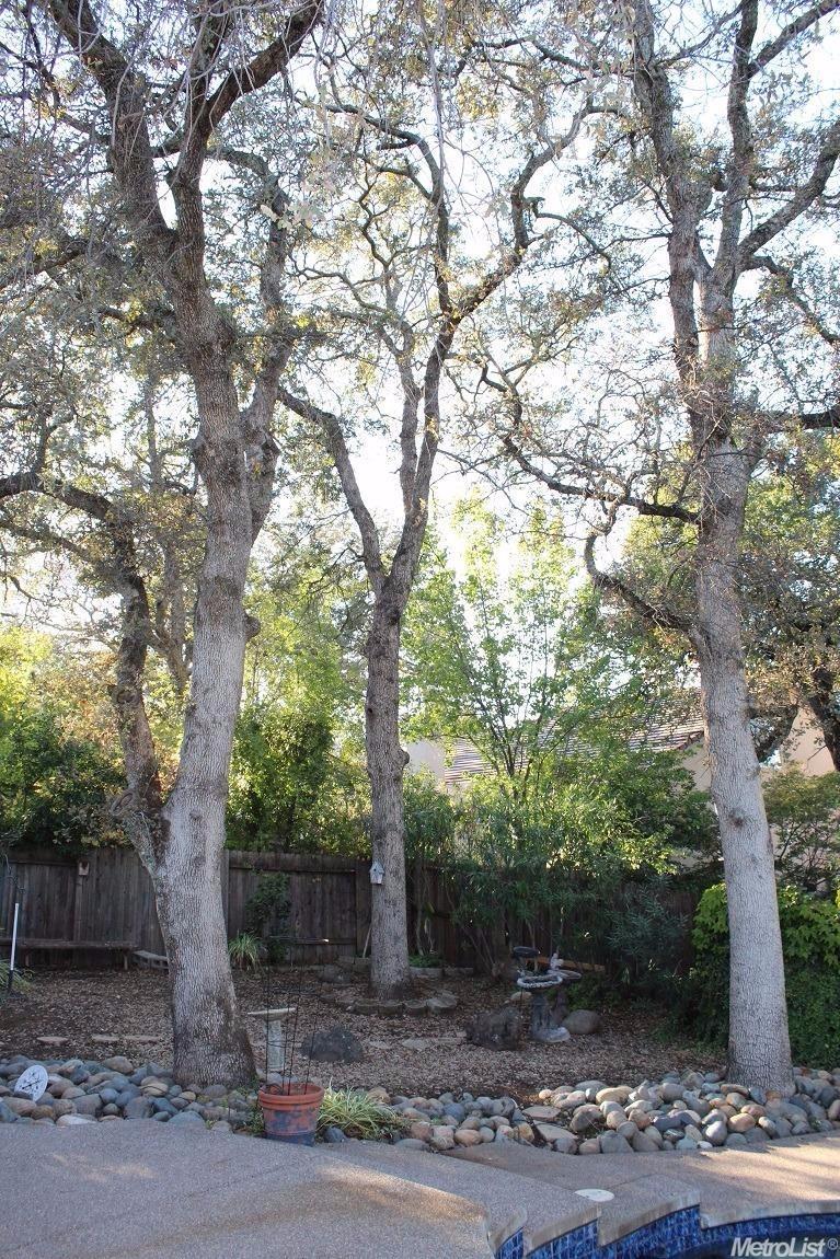 111 Arrowsmith Dr, Folsom, CA 95630 photo 12