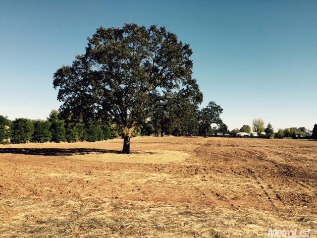 8267 Dillard Rd, Wilton, CA 95693 photo 3