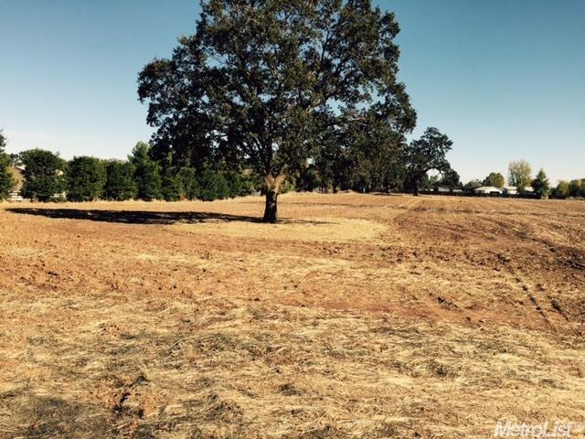 8267 Dillard Rd, Wilton, CA 95693 photo 5