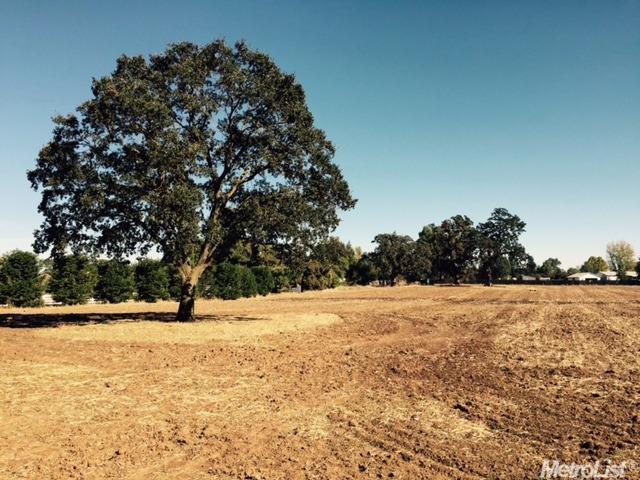 8267 Dillard Rd, Wilton, CA 95693 photo 4