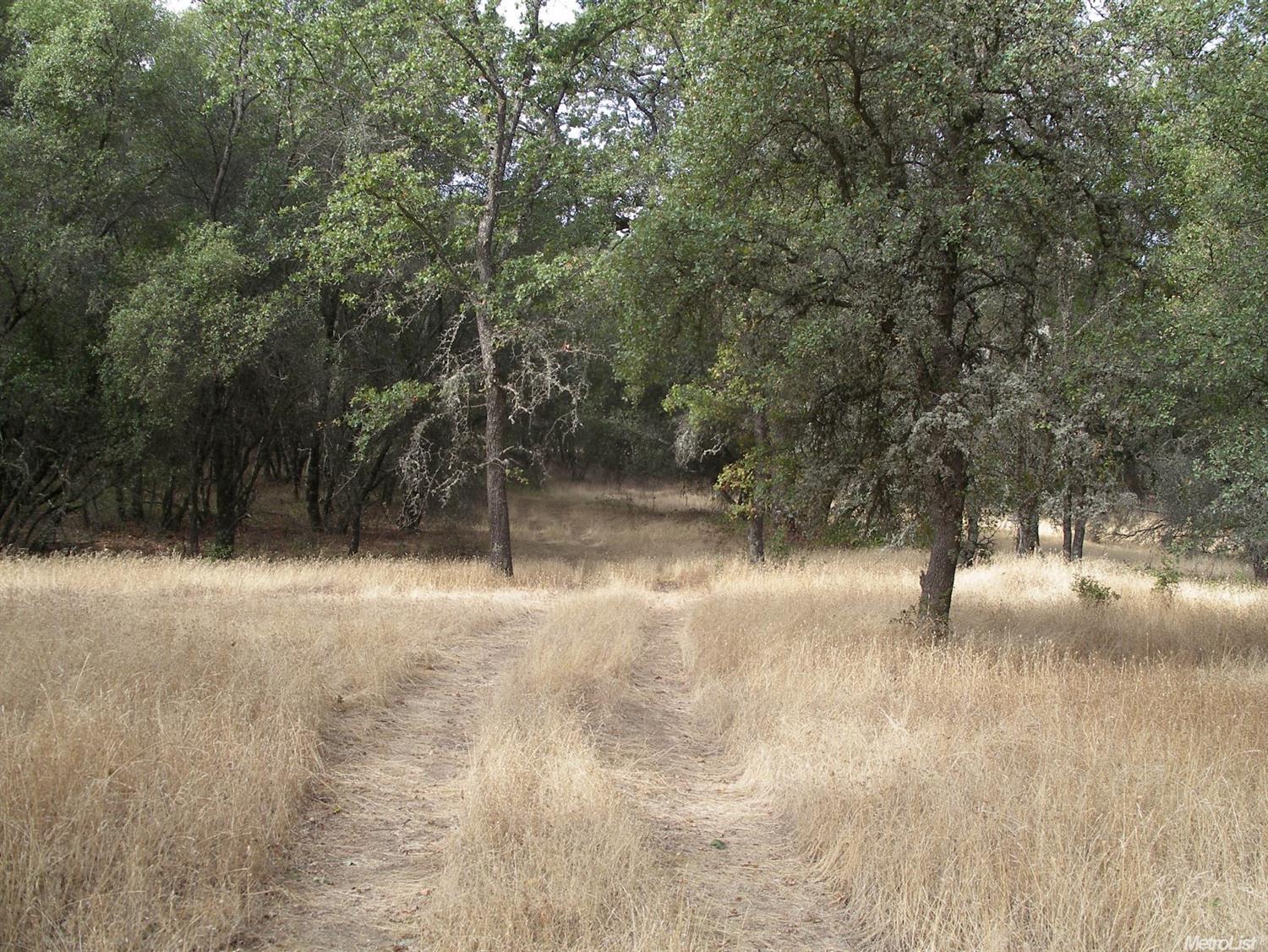 15375 Vierra Rd, Rackerby, CA 95972 photo 2