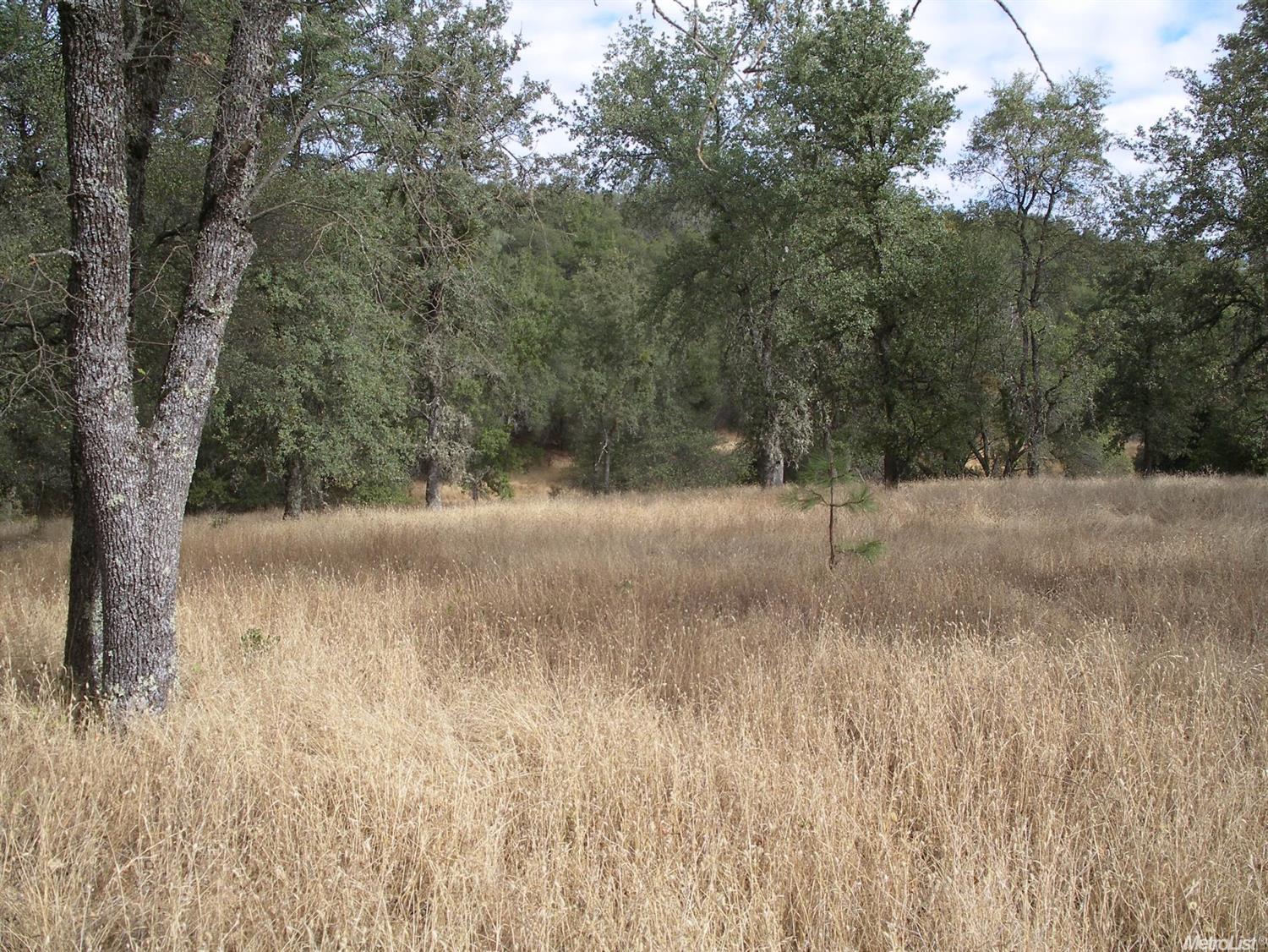 15375 Vierra Rd, Rackerby, CA 95972 photo 3