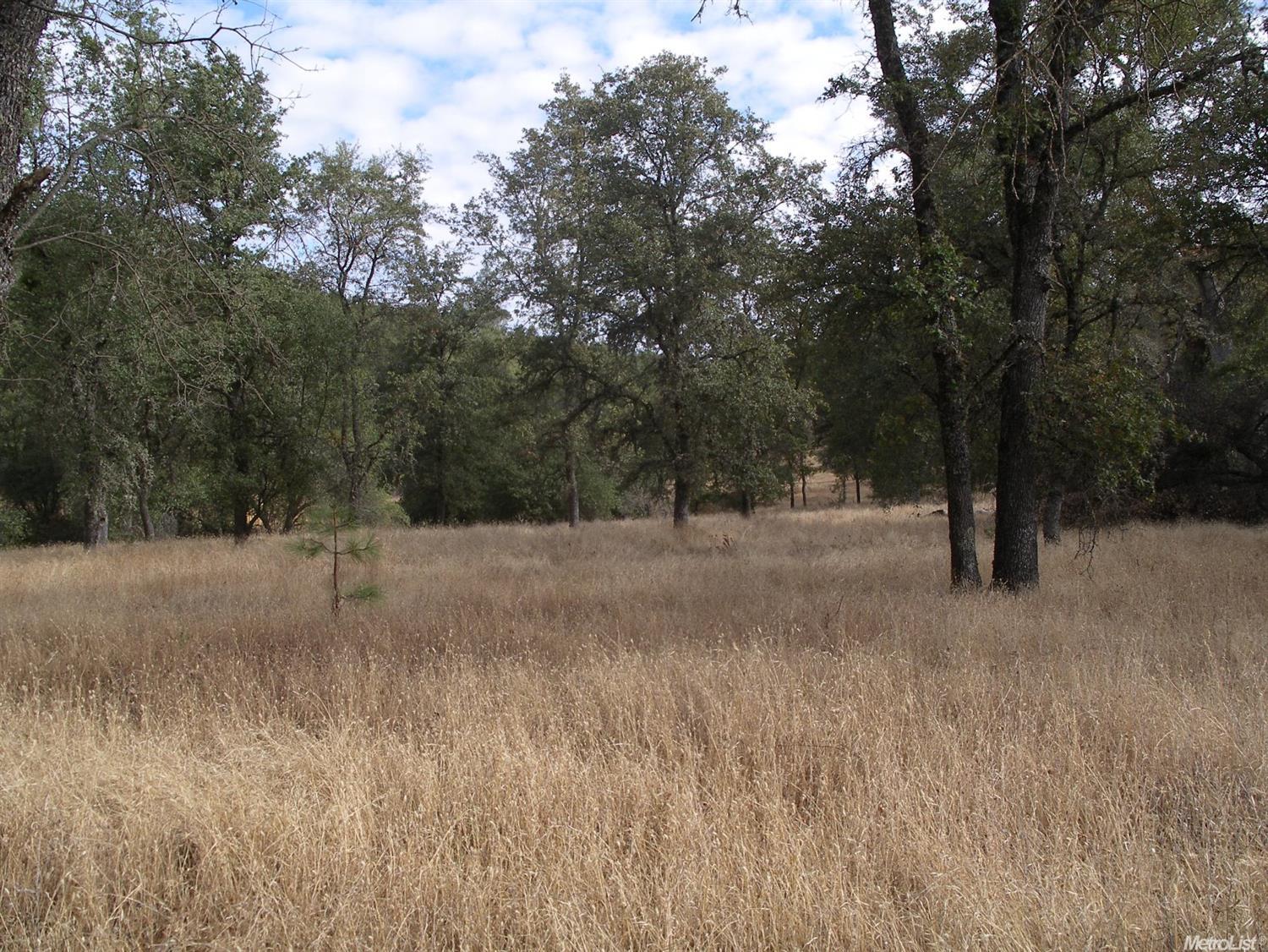 15375 Vierra Rd, Rackerby, CA 95972 photo 5