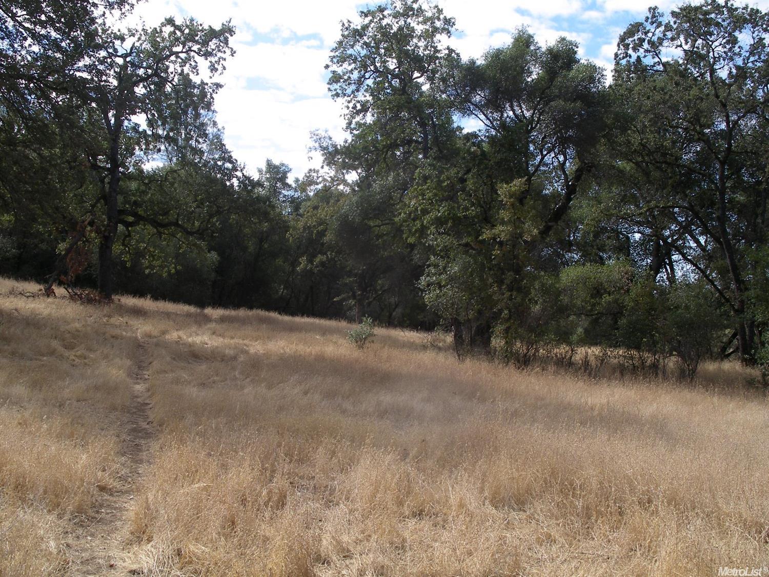 15375 Vierra Rd, Rackerby, CA 95972 photo 9