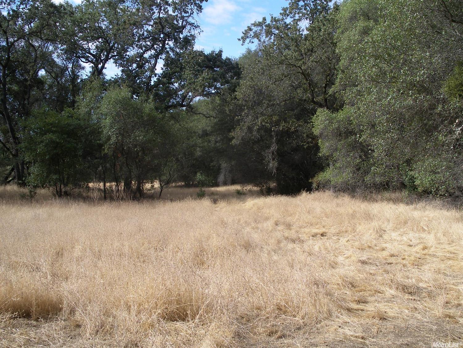 15375 Vierra Rd, Rackerby, CA 95972 photo 8