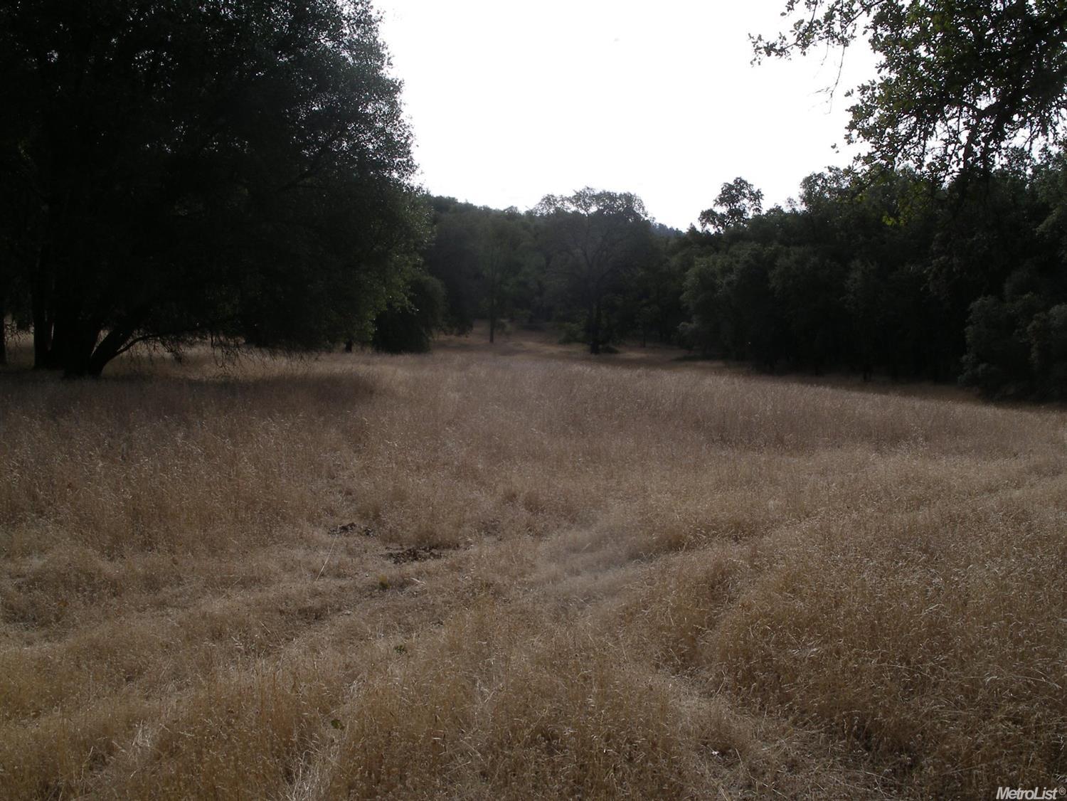 15375 Vierra Rd, Rackerby, CA 95972 photo 4