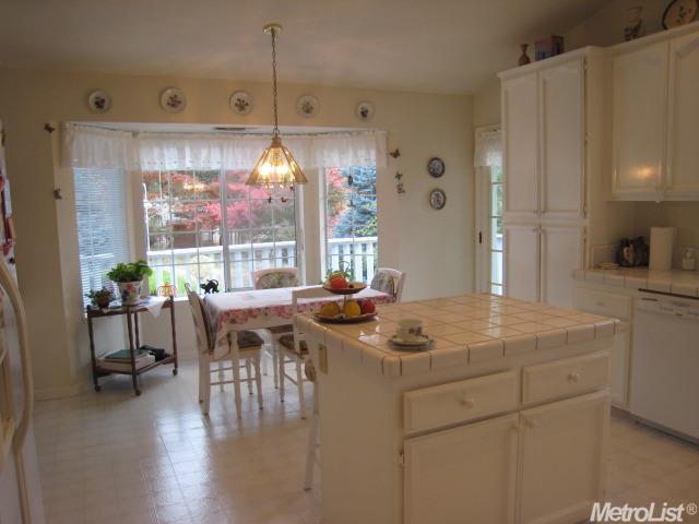 4075 Shale Ridge Rd, Georgetown, CA 95634 photo 12