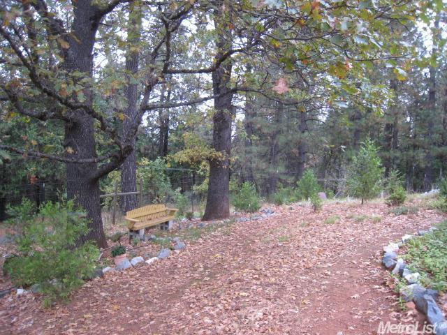 4075 Shale Ridge Rd, Georgetown, CA 95634 photo 7