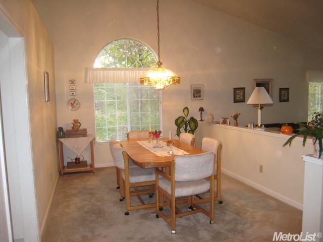 4075 Shale Ridge Rd, Georgetown, CA 95634 photo 16