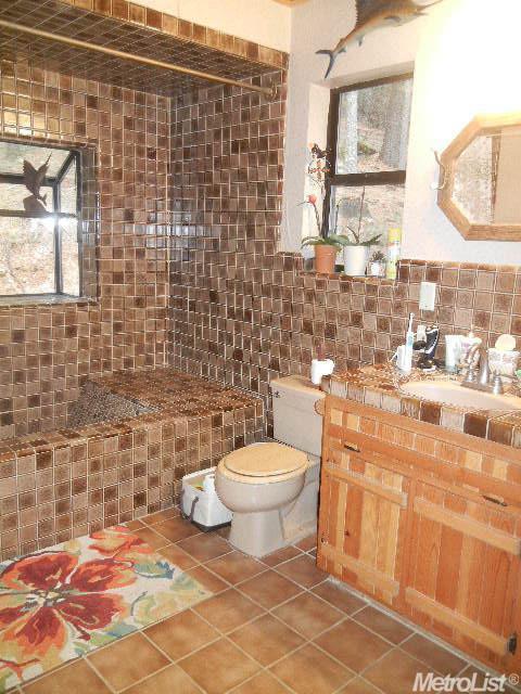 5401 Snowy Ct, Georgetown, CA 95634 photo 19