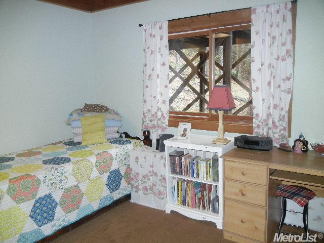 5401 Snowy Ct, Georgetown, CA 95634 photo 17