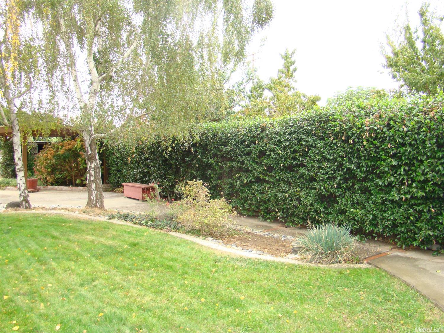 2601 Kathrine Ave, Modesto, CA 95350 photo 17