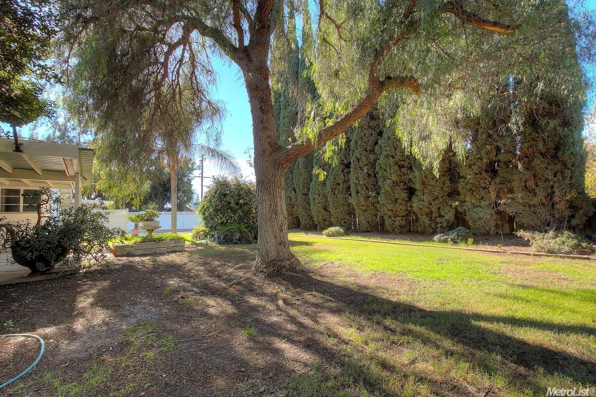 33701 S Bird Rd, Tracy, CA 95304 photo 25